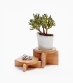 Eames plastic side chair